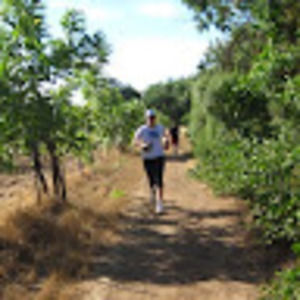 Meet your Posher, Cassandra